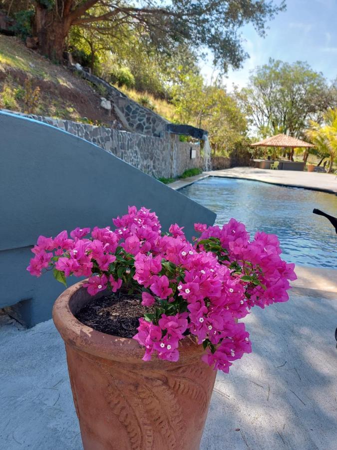 Vida Aventura Ranch Hotel Tanques Exterior photo